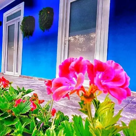 Villadenizsapanca *